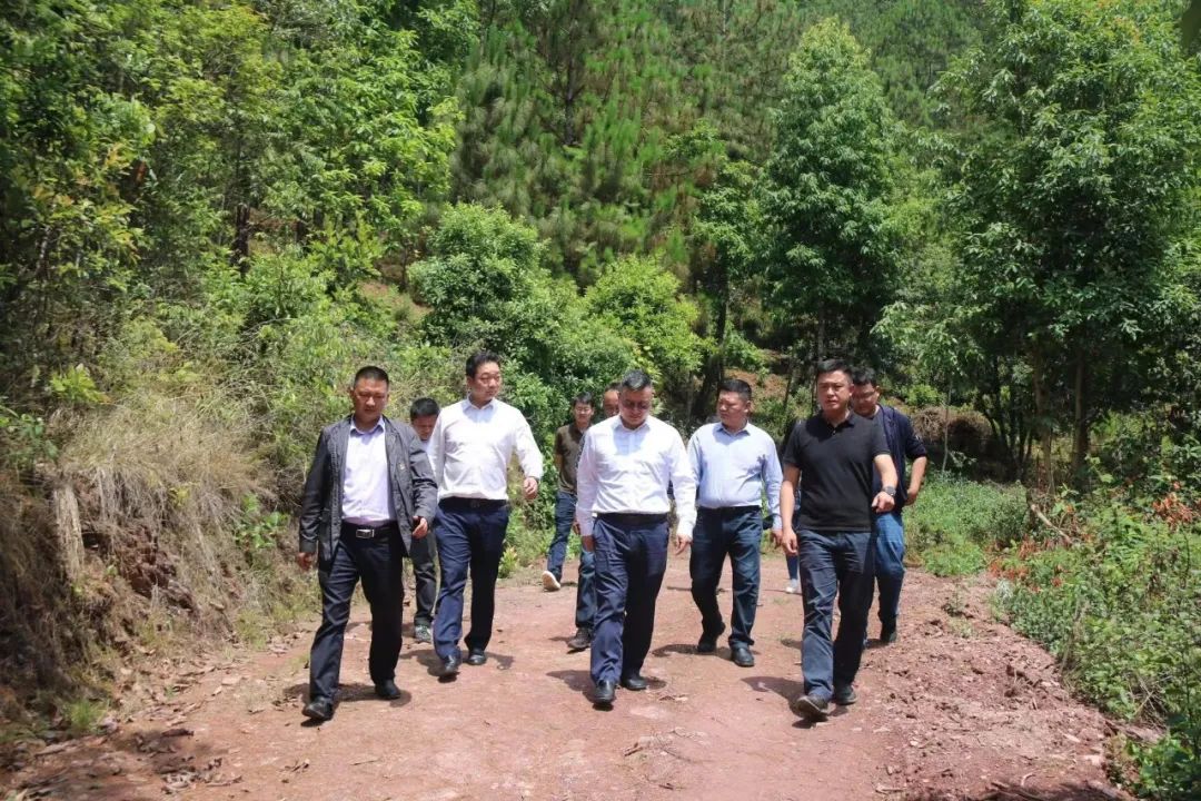 李建松到楚雄市新村镇调研工作