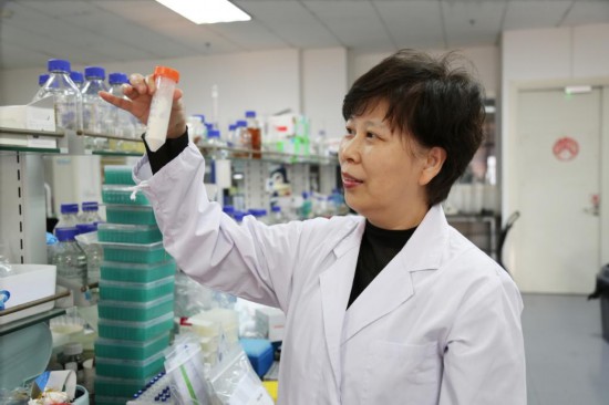 孙媛霞在实验室中展示糖。新华社发