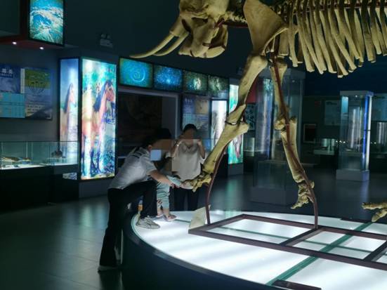 b410d5a12bea8fc645ec65a1bb54a32