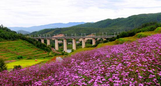 高速走咱彝村过。马兴华摄。