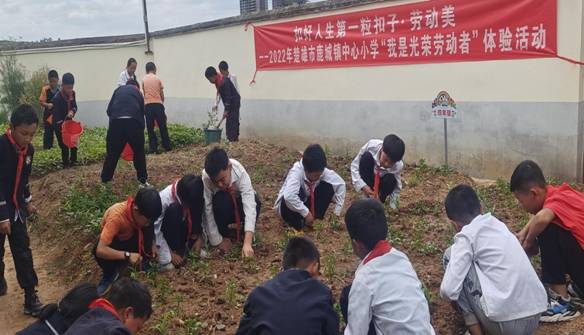 6c28720b52999bc364a138fcc6b4399