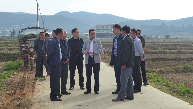 赵克义深入东华镇调研指导当前烤烟生产工作-楚雄市人民政府