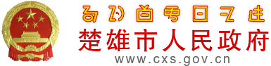 楚雄市人民政府